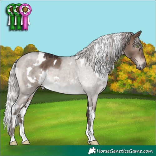 Horse Color:White Spotted Silver Brown Dun Mushroom 