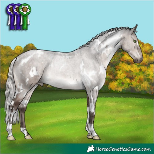 Horse Color:White Spotted Silver Brown Dun Mushroom 