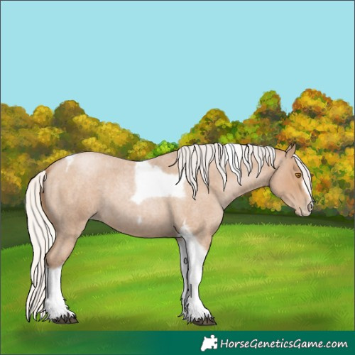 Horse Color:Silver Blue Roan Pearl Tobiano Frame 
