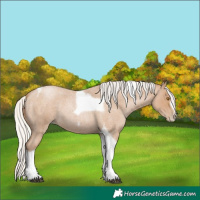 Horse Color:Silver Blue Roan Pearl Tobiano Frame 