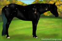 Horse Color:Void Watercolor Bay Dun Sabino Splash 