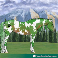 Horse Color:Watercolor White Spotted Brown 