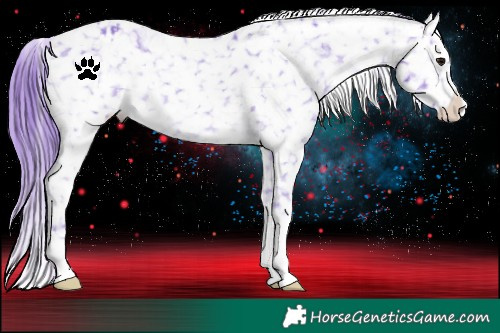 Horse Color:Watercolor Brown Snowflake Varnish