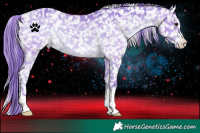 Horse Color:Watercolor Brown Appaloosa