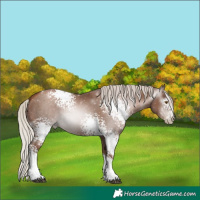 Horse Color:Gray White Spotted Silver Black Pearl Tobiano 
