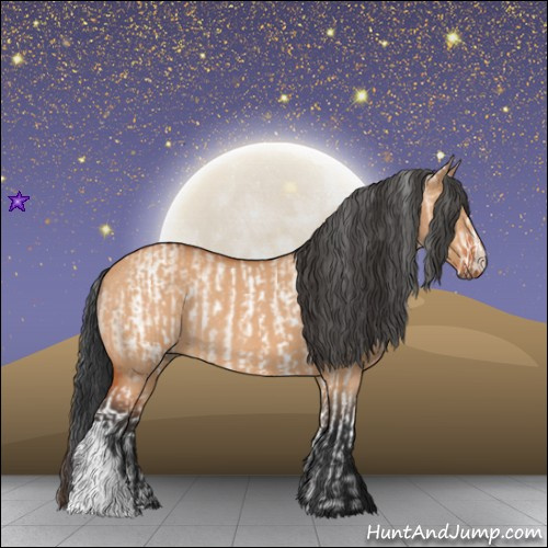 Horse Color:White Spotted Bay Dun Rabicano and Bay Roan Dun Rabicano