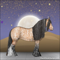 Horse Color:White Spotted Bay Dun Rabicano and Bay Roan Dun Rabicano