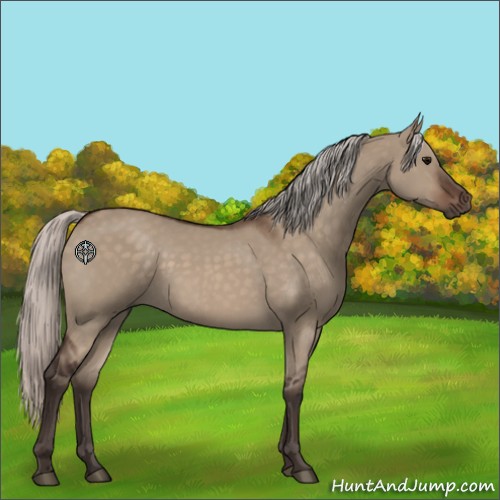 Horse Color:Silver Brown Dun 