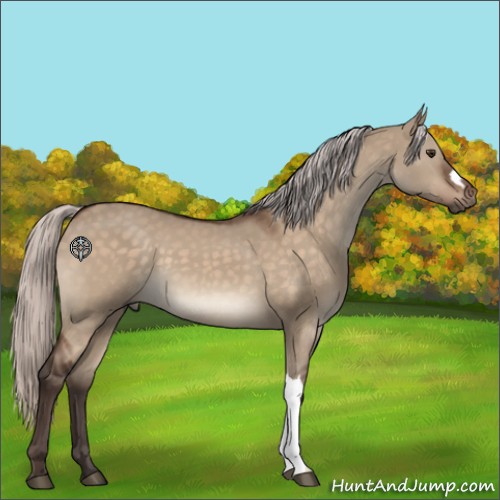 Horse Color:Silver Brown Dun 