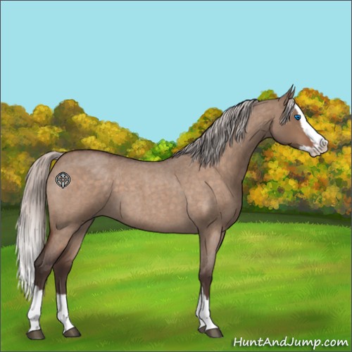 Horse Color:Silver Brown Roan Dun Splash 