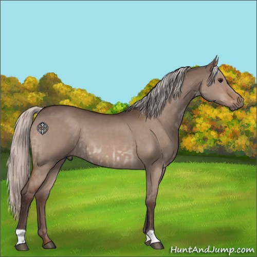Horse Color:Silver Brown Dun  and Silver Brown Dun 