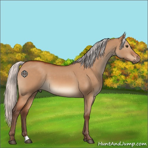 Horse Color:Silver Brown Dun 