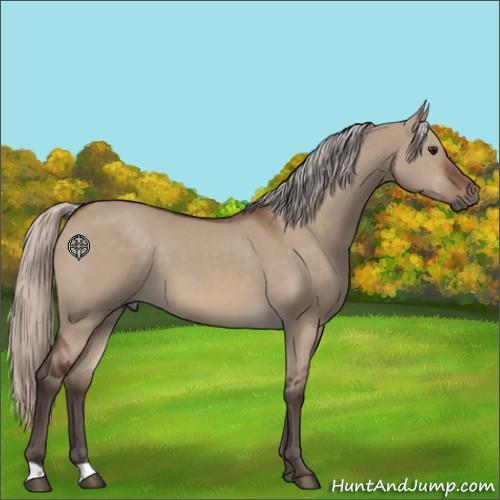 Horse Color:Silver Brown Dun 