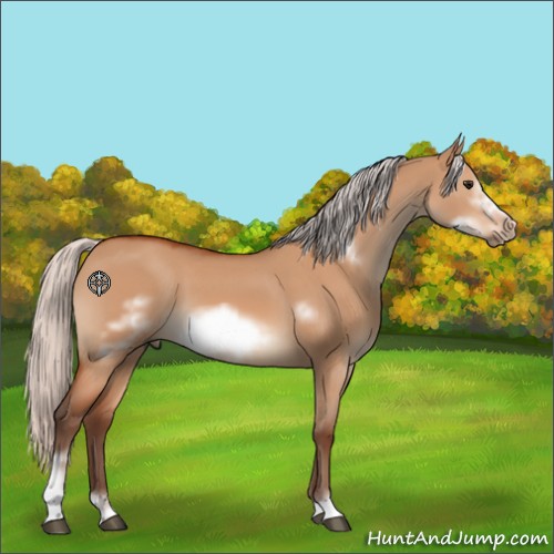 Horse Color:Silver Bay Dun Sabino Frame 