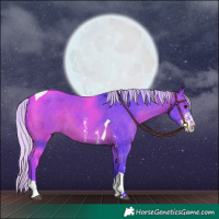 Horse Color:Watercolor Silver Brown Sabino Tobiano