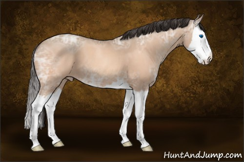 Horse Color:Sable Champagne Ice Splash 