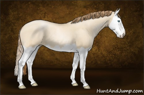 Horse Color:Smoky Grullo Pearl Splash 