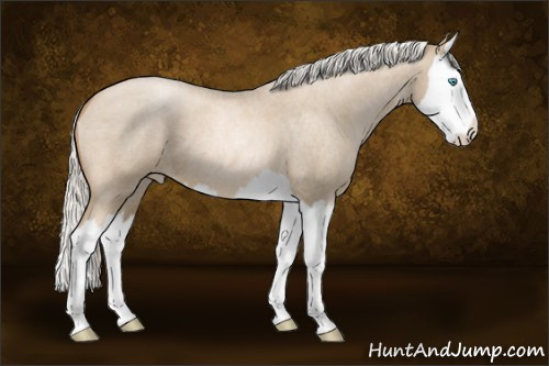 Horse Color:Silver Smoky Blue Roan Pearl Splash 
