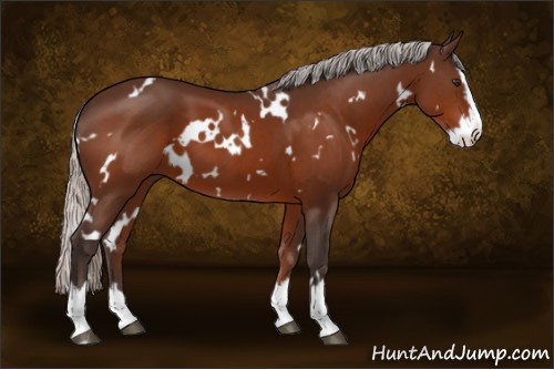 Horse Color:White Spotted Silver Brown Splash 