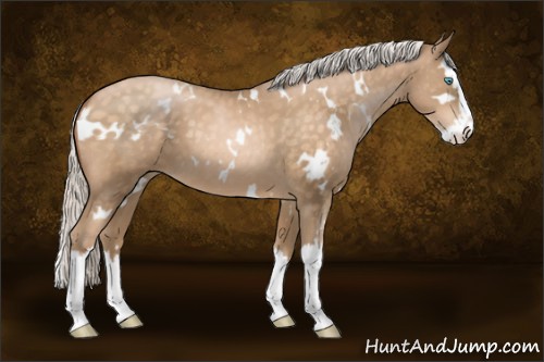 Horse Color:White Spotted Silver Buckskin Pearl Splash 