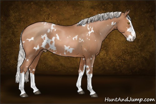 Horse Color:White Spotted Silver Brown Pearl Splash 