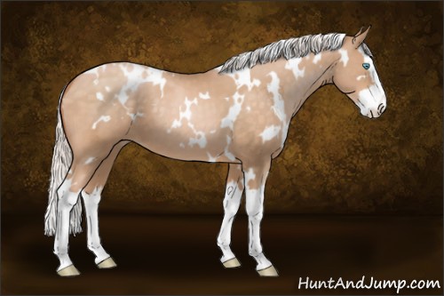 Horse Color:White Spotted Silver Buckskin Pearl Splash 