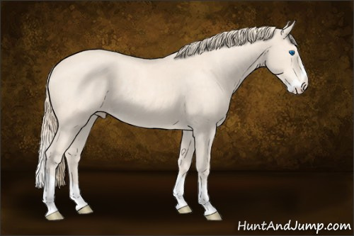Horse Color:Perlino Splash 