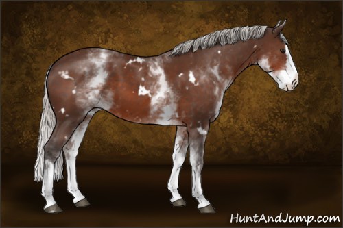 Horse Color:White Spotted Silver Brown Splash 