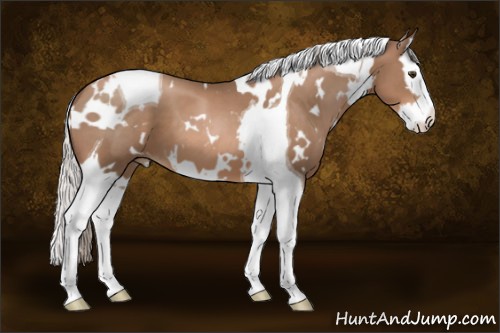 Horse Color:White Spotted Silver Black Pearl Splash Tobiano 