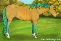 Horse Color:Watercolor Bay 