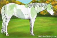 Horse Color:Watercolor Chocolate Palomino Splash Tobiano 