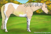 Horse Color:Watercolor Chocolate Palomino Tobiano 