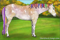 Horse Color:Painted Watercolor White Spotted Silver Buckskin Ice Onyx 