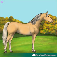 Horse Color:Palomino 