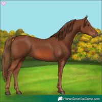 Horse Color:Chestnut 