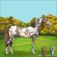 Horse Color:White Spotted Buckskin Dun Sabino Near Leopard 