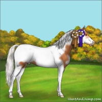 Horse Color:White Spotted Silver Bay Tobiano Frame