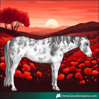 Horse Color:Black Sabino 