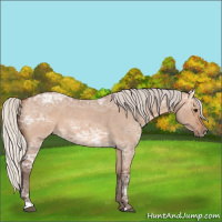 Horse Color:Silver Bay Ice Roan Dun 