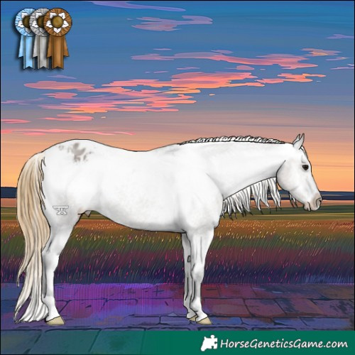 Horse Color:Smoky Grullo Varnish 