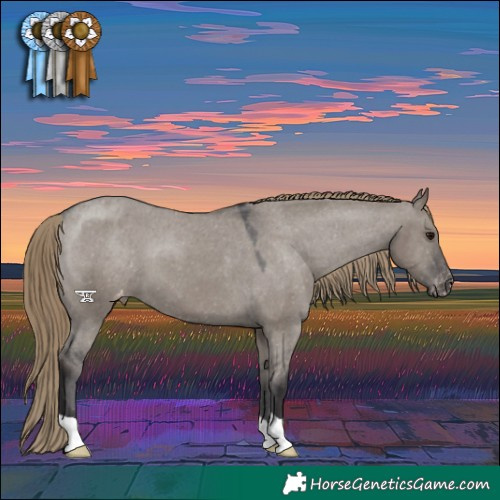 Horse Color:Smoky Grullo Varnish 