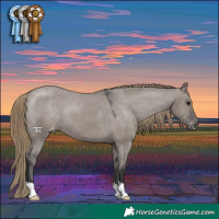 Horse Color:Smoky Grullo Varnish 