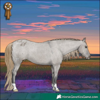 Horse Color:Smoky Grullo Appaloosa 
