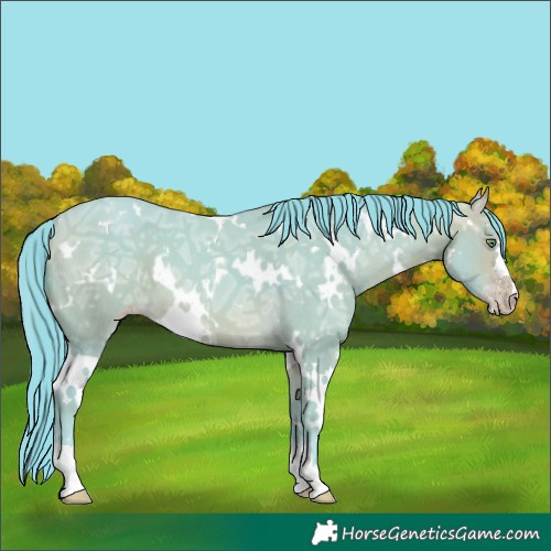 Horse Color:Watercolor White Spotted Sable Cream Champagne Ice