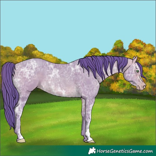 Horse Color:Watercolor Amber Cream Champagne Ice