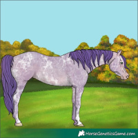 Horse Color:Watercolor Amber Cream Champagne Ice 