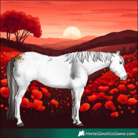 Horse Color:White Spotted Bay Mushroom