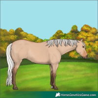 Horse Color:Silver Bay Dun Mushroom Rabicano 