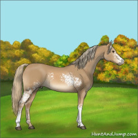 Horse Color:White Spotted Chestnut Mushroom Rabicano 