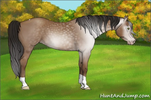 Horse Color:Gray Amber Champagne Tobiano 
